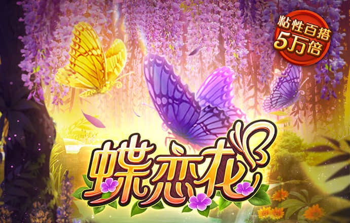 半岛手机网页版
